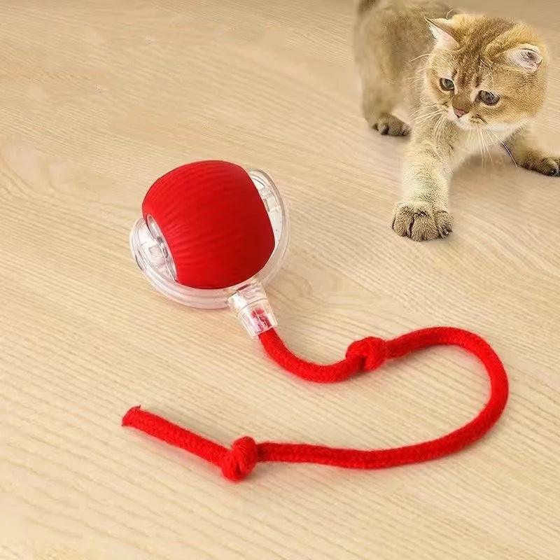 PlayBall Pro – Diversão Inteligente para Pets - Minha loja